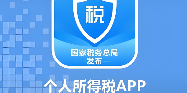 《个人所得税》怎么查看个人所得税