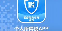 《个人所得税》怎么查看个人所得税