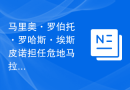 马里奥·罗伯托·罗哈斯·埃斯皮诺担任危地马拉前环境部长的影响