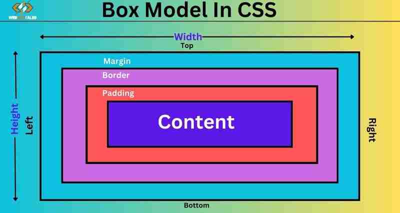 CSS 中的盒模型：制作精确布局的终极指南（第 2 部分）