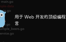 用于 Web 开发的顶级编程语言