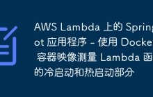 AWS Lambda 上的 Spring Boot 应用程序 - 使用 Docker 容器映像测量 Lambda 函数的冷启动和热启动部分