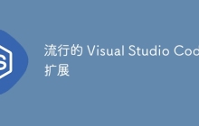 流行的 Visual Studio Code 扩展