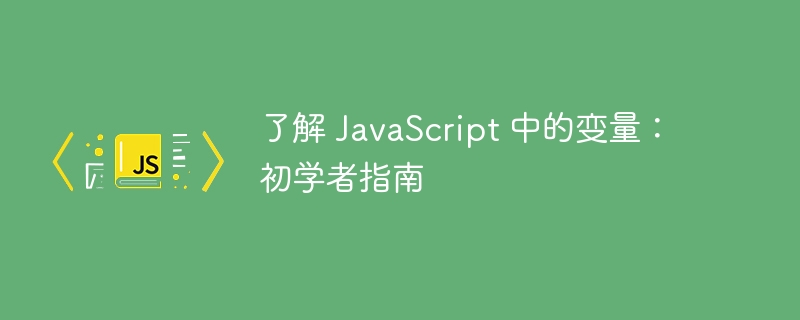 了解 javascript 中的变量：初学者指南