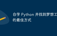 自学 Python 并找到梦想工作的最佳方式