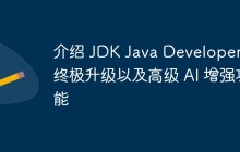 介绍 JDK Java Developer 的终极升级以及高级 AI 增强功能