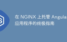 在 NGINX 上托管 Angular 应用程序的终极指南