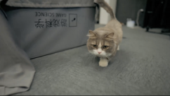 黑神话首支纪录片独家首播: 路在脚下|对话杨奇:《黑神话:悟空》的美术开发之路