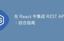 在 React 中集成 REST API：综合指南