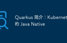 Quarkus 简介：Kubernetes 的 Java Native