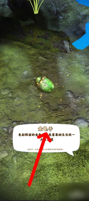 夺笋高手怎么抓虫 夺笋高手如何抓捕昆虫金龟子