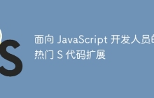 面向 JavaScript 开发人员的热门 S 代码扩展