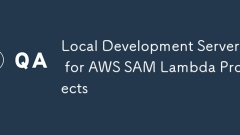 Local Development Server for AWS SAM Lambda Projects