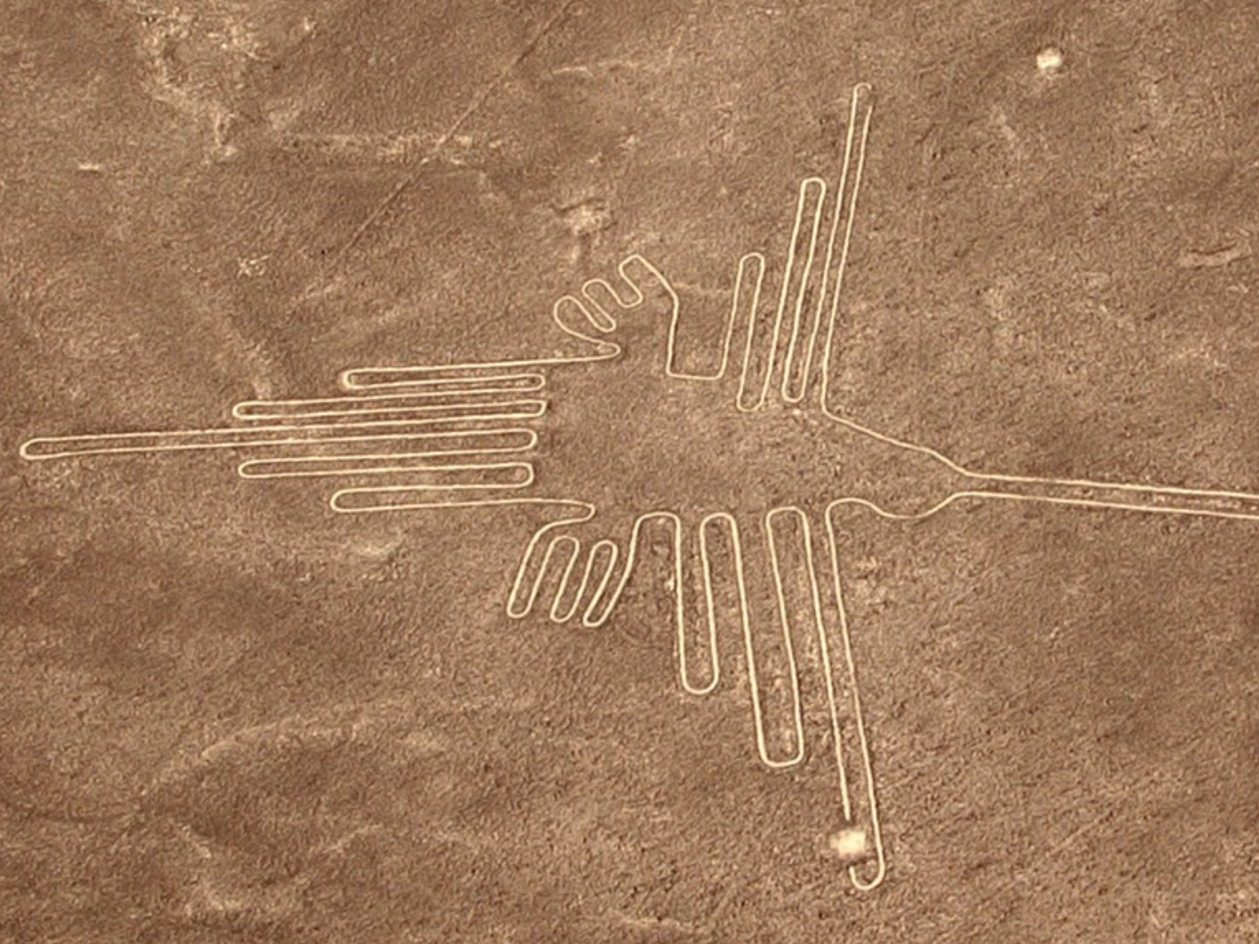 AI는 단 6개월 만에 알려진 Nasca 라인 수를 거의 두 배로 늘렸습니다.