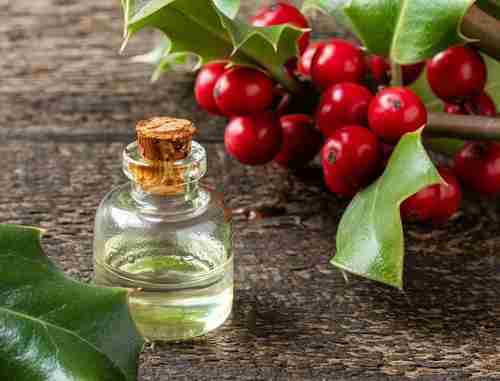 冬青油的优点和注意事项