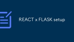 REACT x FLASK setup