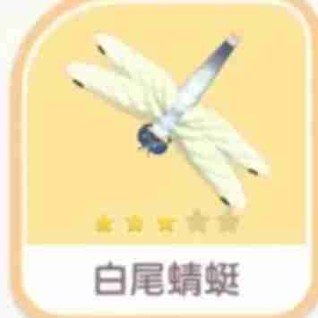 心动小镇手游白尾蜻蜓在哪 心动小镇手游白尾蜻蜓刷新位置一览