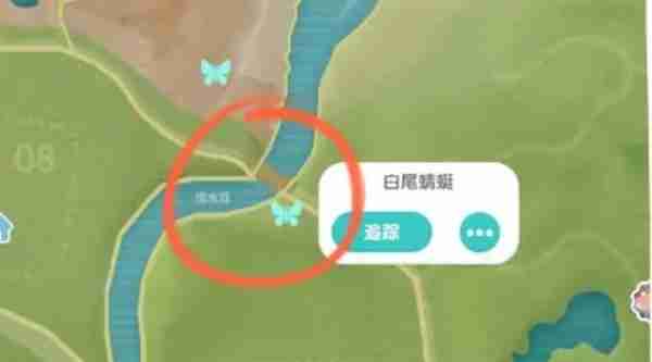 心动小镇手游白尾蜻蜓在哪 心动小镇手游白尾蜻蜓刷新位置一览