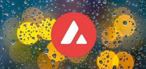 2024年10月01日雪崩币价格