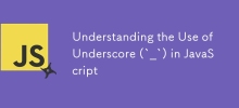 了解 JavaScript 中下划线 (`_`) 的使用