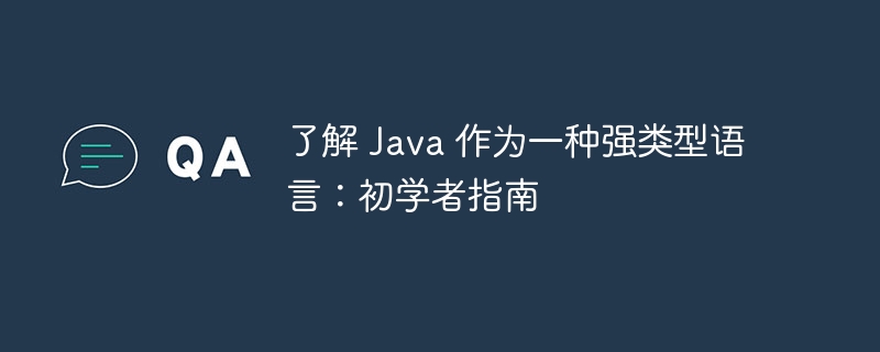 了解 Java 作为一种强类型语言：初学者指南（初学者.类型.语言.指南.Java...）