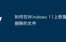 如何在Windows 11上恢复已删除的文件