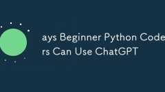 ays Beginner Python Coders Can Use ChatGPT