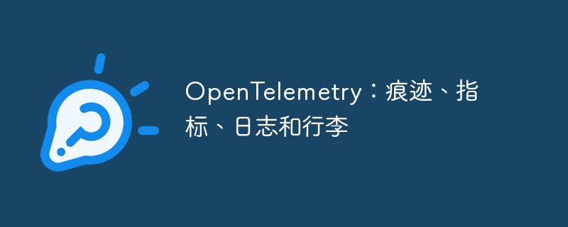 OpenTelemetry：痕迹、指标、日志和行李（行李.痕迹.指标.日志.OpenTelemetry...）