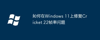 如何在Windows 11上修复Cricket 22帧率问题