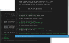 如何在Linux上浏览Gopher网络