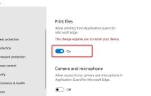 如何在Windows 11 Application Guard for Edge中启用打印