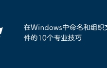 在Windows中命名和组织文件的10个专业技巧