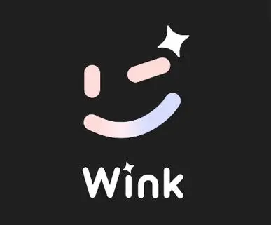 wink在哪设置小头特效