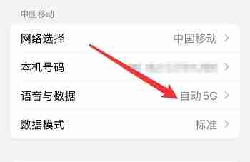 iphone16在哪禁用5G网络
