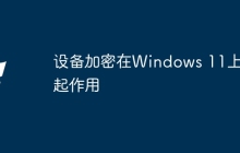 设备加密在Windows 11上不起作用