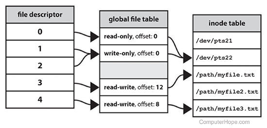 次の行を取得 ファイル記述子とシステムの I/O の処理方法を学ぶためのプロジェクト