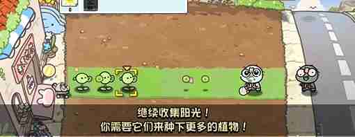 《植物大战僵尸幼儿园版》冒险模式1-1通关攻略