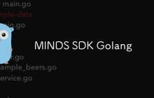 MINDS SDK Golang