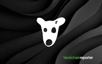 $DOGS와 $NOT, 커뮤니티 거버넌스와 장기적인 가치를 강화하는 공동 토큰 소각 이벤트 발표