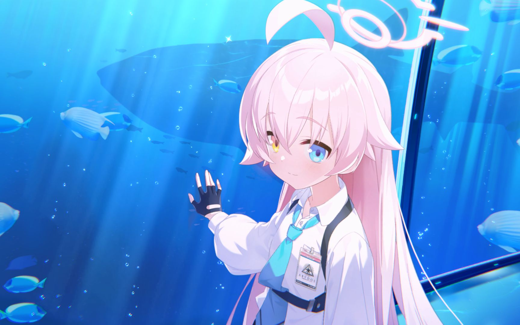 碧蓝档案sensei发癫的表情