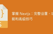 掌握 Nextjs：完整设置、功能和高级技巧