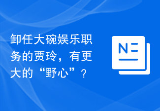卸任大碗娱乐职务的贾玲，有更大的“野心”？
