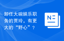卸任大碗娱乐职务的贾玲，有更大的“野心”？