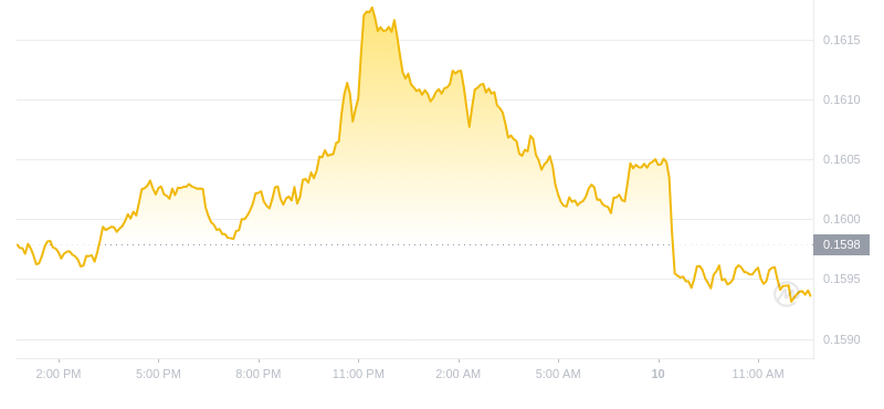 2024年10月10日波场币价格