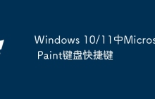 Windows 10/11中Microsoft Paint键盘快捷键