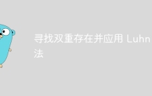 寻找双重存在并应用 Luhn 算法