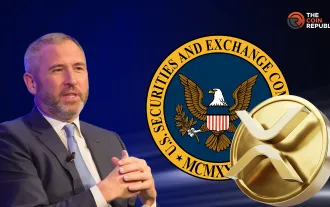 Ripple Labs 在與 SEC 持續的法律鬥爭中提出交叉上訴