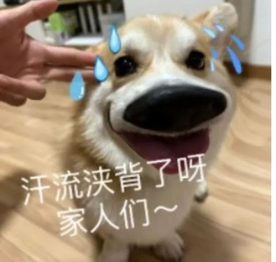 网易《射雕》2.0更新预告解读之美术风格优化篇