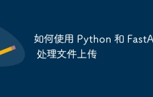 如何使用 Python 和 FastAPI 处理文件上传