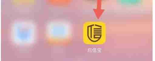 启信宝怎么查看法律服务-启信宝查看法律服务的方法